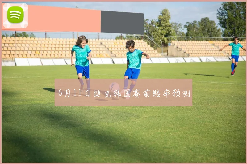6月11日捷克韩国赛前赔率预测