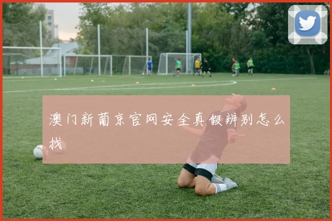 澳门新葡京官网安全真假辨别怎么找
